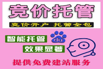 百度推广代运营案例：精准营销助力业绩增长